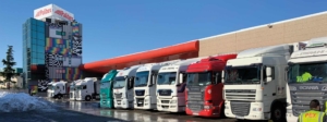 palibex - filomena transporte - palés