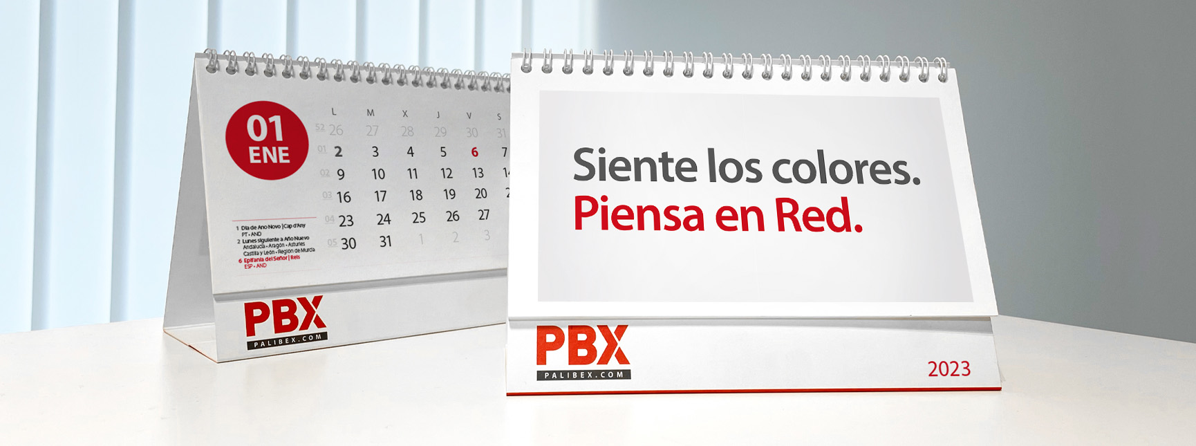 campaña decimo aniversario - palibex - 01